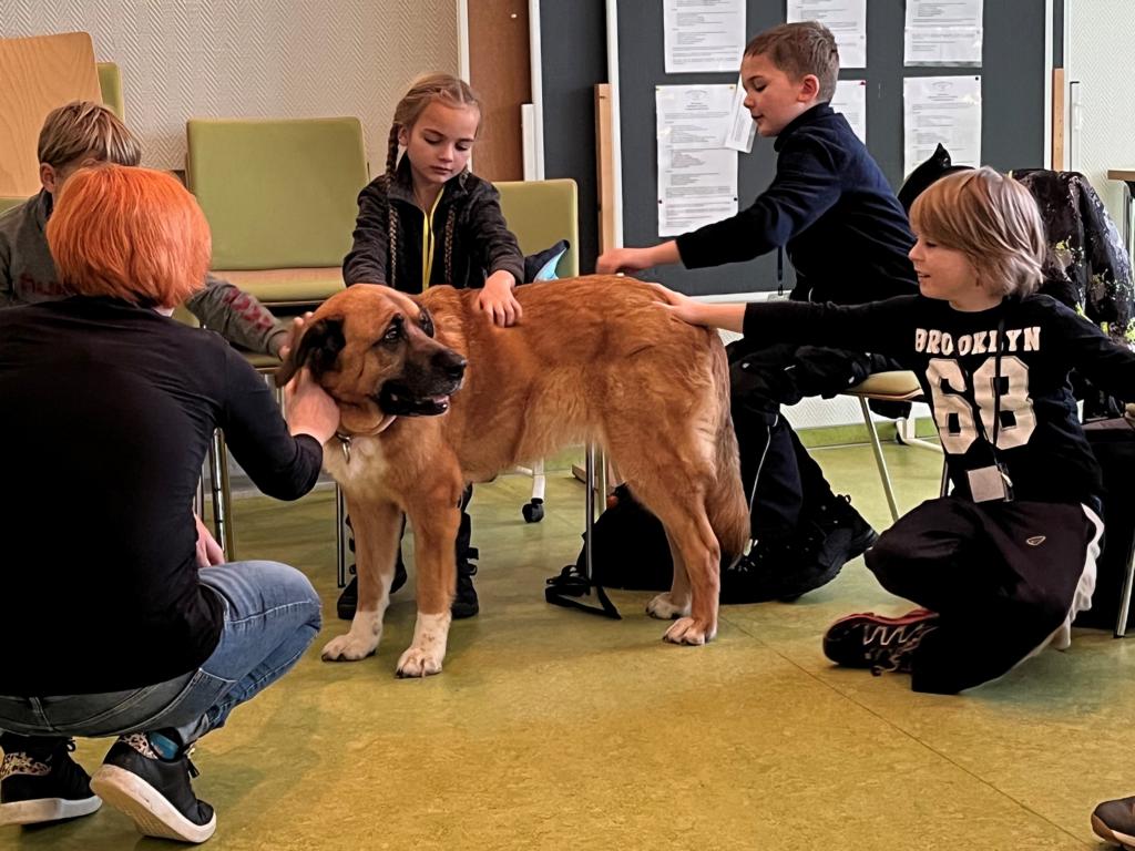Sommerferienprogramm für Kinder 
